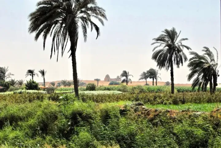 The Faiyum Oasis, Egypt — birthplace of Saadia Gaon