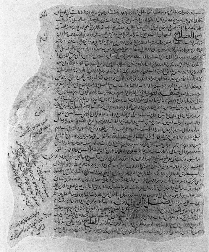 Arabic manuscript of al-Razi's Kitab al-Hawi (Continens Liber) — Wellcome Collection. Public Domain.