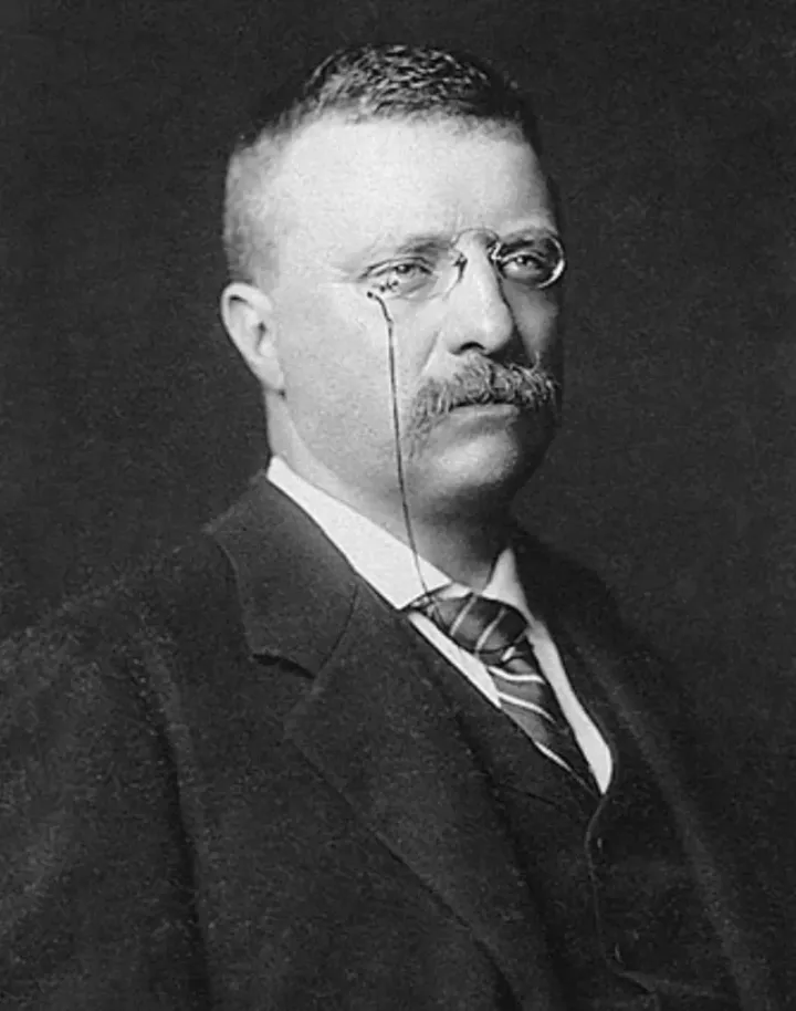 Young Theodore Roosevelt, circa 1900