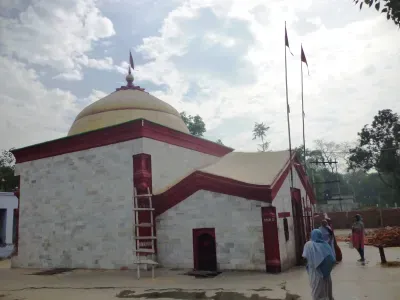 Mandana Mishra